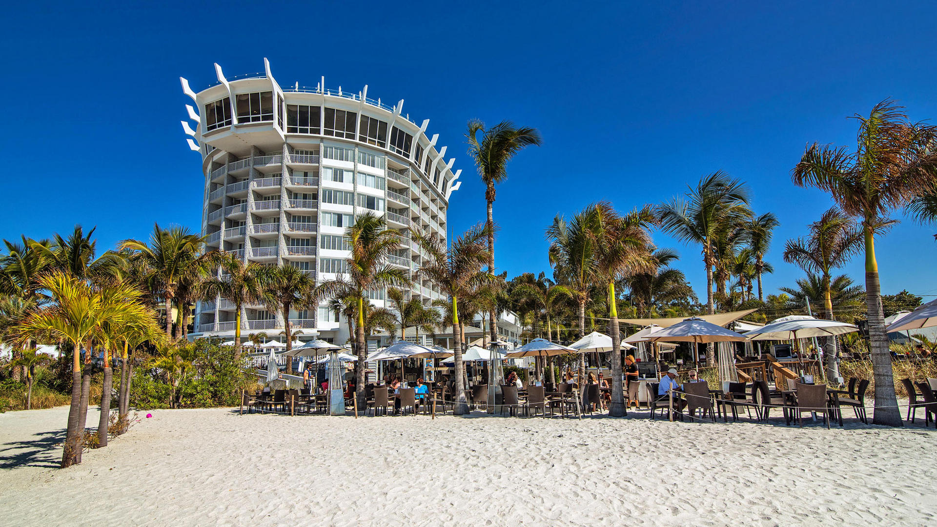 Bongos Beach Bar & Grille St Pete Beach FL Oceanfront Bar & Restaurant