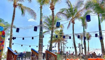 Bongos Beach Bar & Grille
